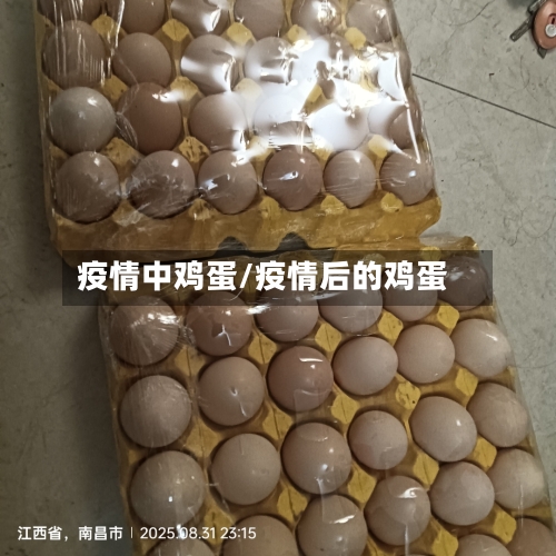 疫情中鸡蛋/疫情后的鸡蛋-第1张图片